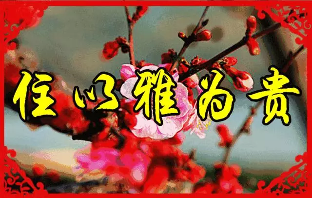 臘月二十九,早上好,誰打開誰吉祥~