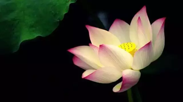 2019年,我珍惜真心和我相處的人(深度好文)