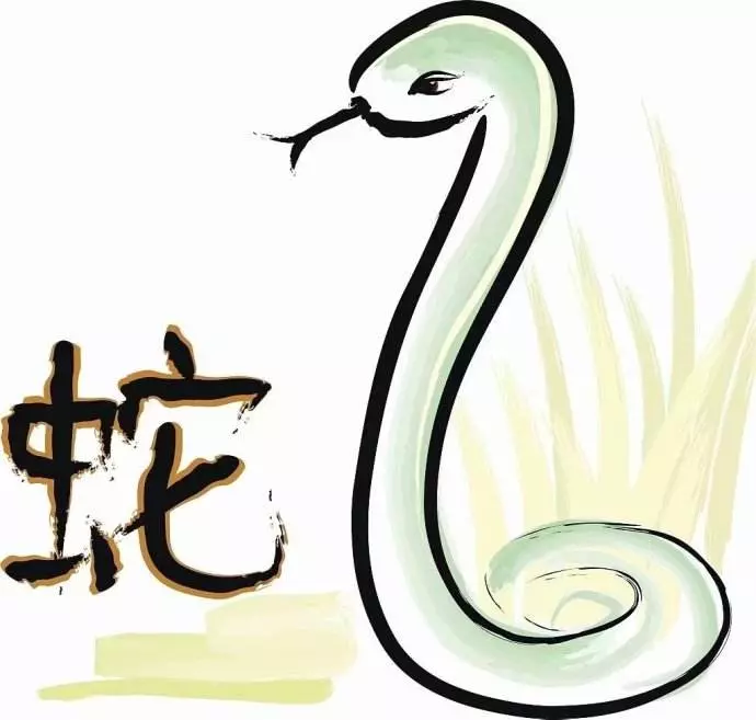 屬蛇人:你的人生有三個貴人,有一個絕對在你身邊