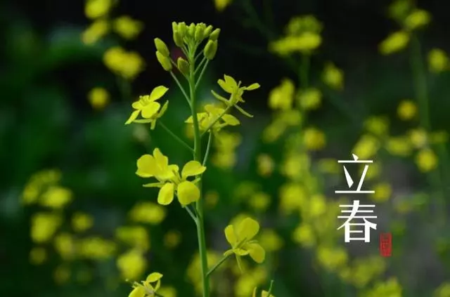 醫生提醒:立春正是養生好時節,要是能做到4點,效果事半功倍!