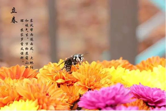 醫生提醒:立春正是養生好時節,要是能做到4點,效果事半功倍!
