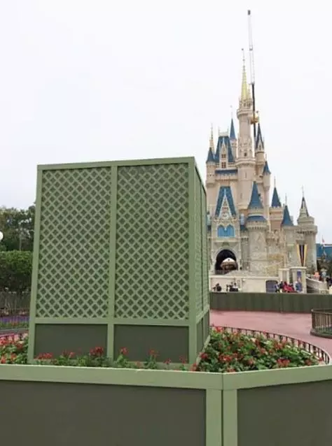復仇劈腿老公用這招 20個「沒什麼營養卻能讓你嘴角上揚」的世界冷知識