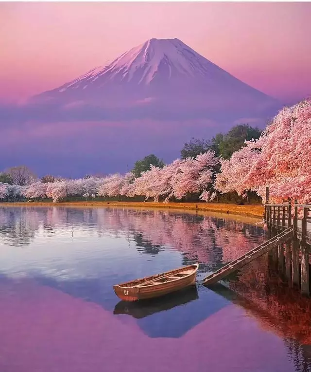 日本8大最佳賞櫻地全攻略 請收好!