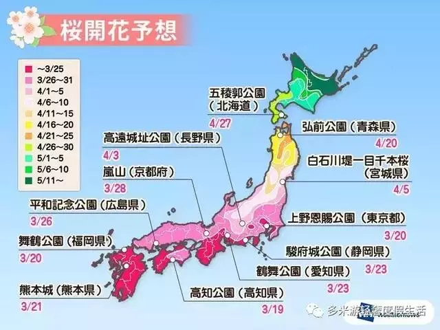 日本8大最佳賞櫻地全攻略 請收好!
