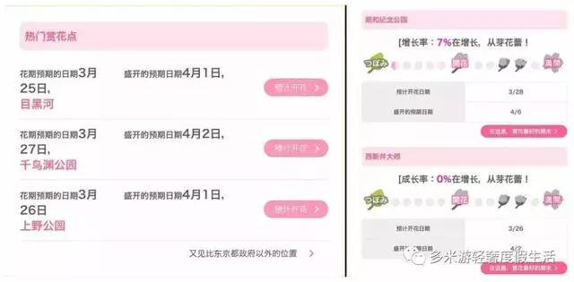 日本8大最佳賞櫻地全攻略 請收好!