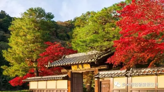 日本8大最佳賞櫻地全攻略 請收好!