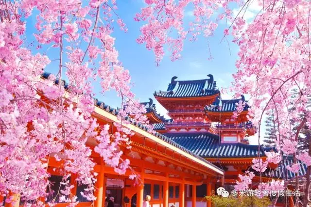 日本8大最佳賞櫻地全攻略 請收好!