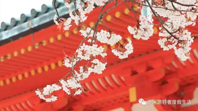 日本8大最佳賞櫻地全攻略 請收好!