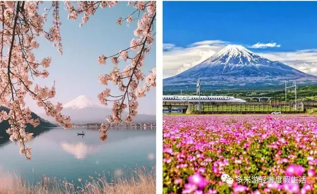 日本8大最佳賞櫻地全攻略 請收好!