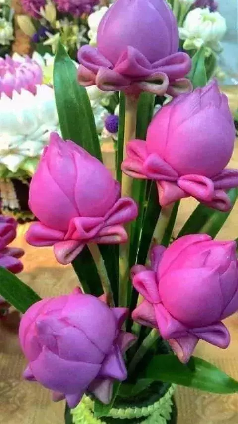 世界上30種罕見怪花,你絕對沒見過!