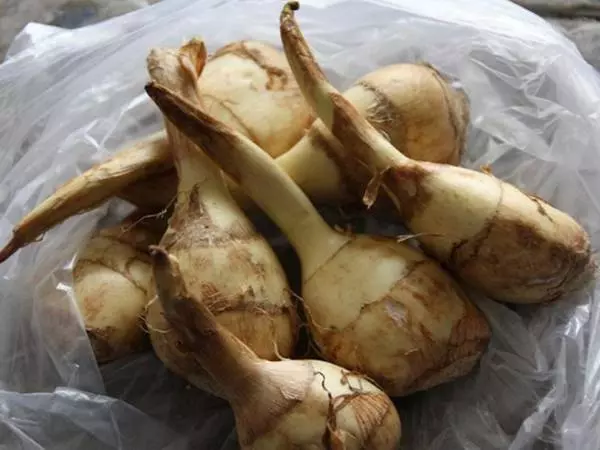想「旺」整年 你的冰箱有這些過年菜嗎?