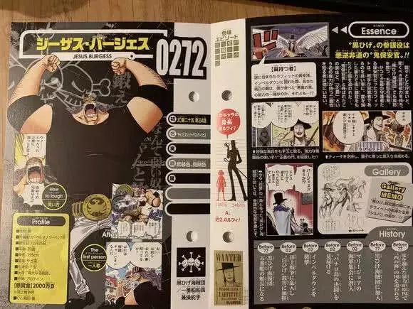 《海賊王》官方放出黑鬍子海賊團生命卡,黑鬍子竟然沒有霸王色!