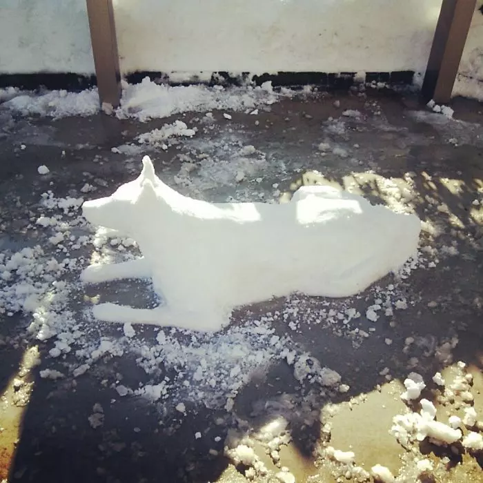 東京居民被大雪困住「太無聊開始堆雪人」 路上滿滿神作 逼真到全球贊翻!
