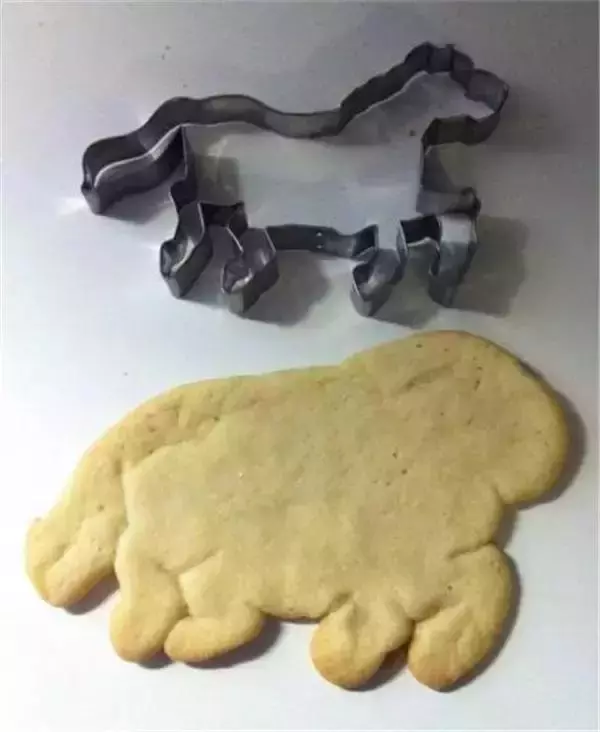 烘焙界的黑暗料理,看到第一張我就笑了