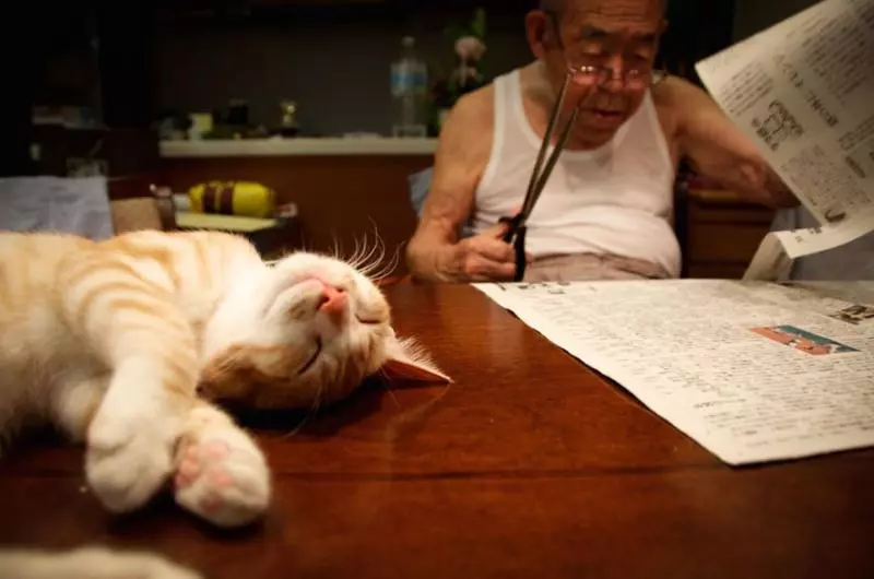 他給生病後脾氣暴躁的爺爺帶來一隻貓咪,結果爺爺性格大轉變讓網友都快看哭了!