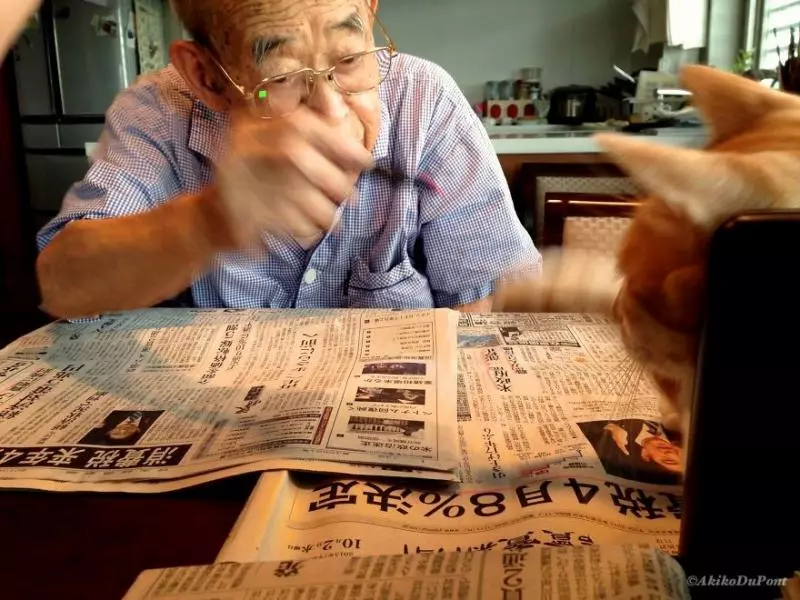 他給生病後脾氣暴躁的爺爺帶來一隻貓咪,結果爺爺性格大轉變讓網友都快看哭了!