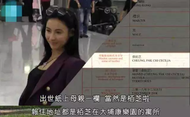 小兒子出生世被揭開，張柏芝終於忍無可忍：怒斥政府監管不力！