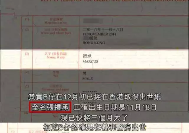 小兒子出生世被揭開，張柏芝終於忍無可忍：怒斥政府監管不力！
