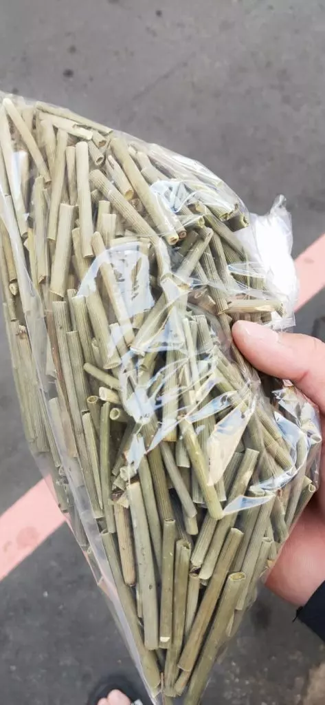 煙垢、茶垢統統不見了!「空心小長管」好神奇,它是去黃美白牙齒的良藥...網友驚呆:「好像去洗牙!」