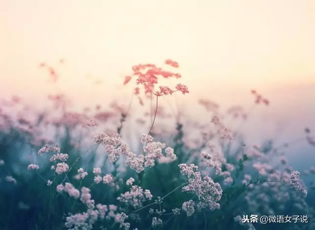 老公,離婚吧,我每個月兩萬的工資不是用來養你和你媽的