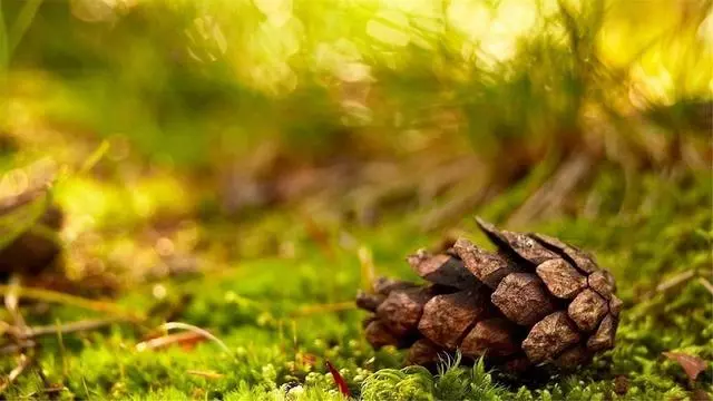 珍惜對你好的人吧,下輩子未必能遇見