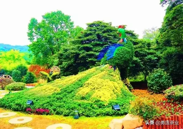 勵志的十句話,《很精僻》
