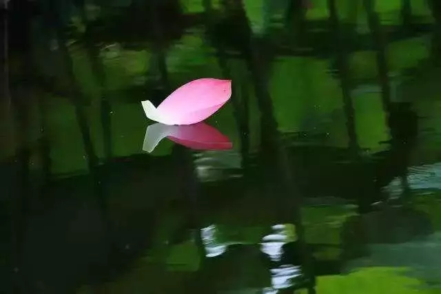 時間慢慢地告訴我,要學會說:「我不在乎!(句句在理)