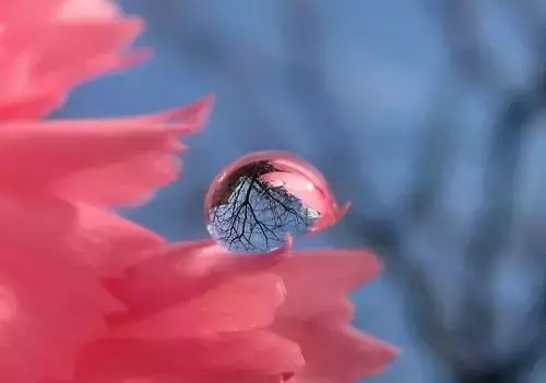 好美的50張照片!快來看一眼吧~