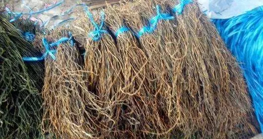 指甲上有豎紋?身體在警告了,多喝一種水,滋補肝腎,把體內毒素排出來,趕緊試試吧