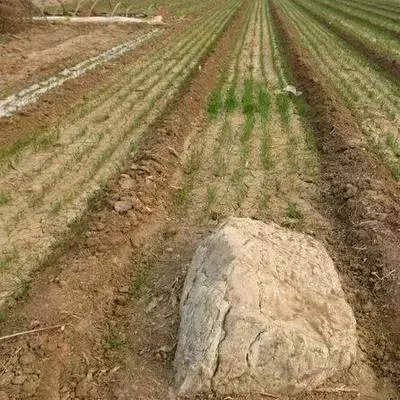 中國最小的山,60釐米高!為何至今無人敢登?