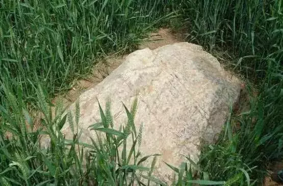 中國最小的山,60釐米高!為何至今無人敢登?