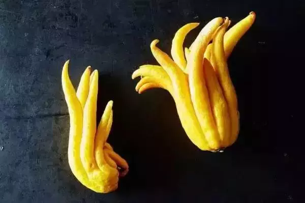 這是一個需要奇葩的時代,水果也一樣