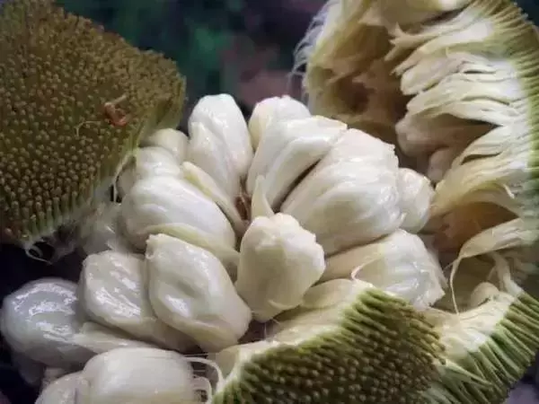 這是一個需要奇葩的時代,水果也一樣