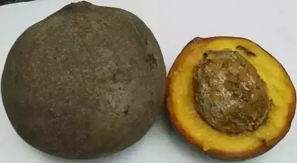 這是一個需要奇葩的時代,水果也一樣