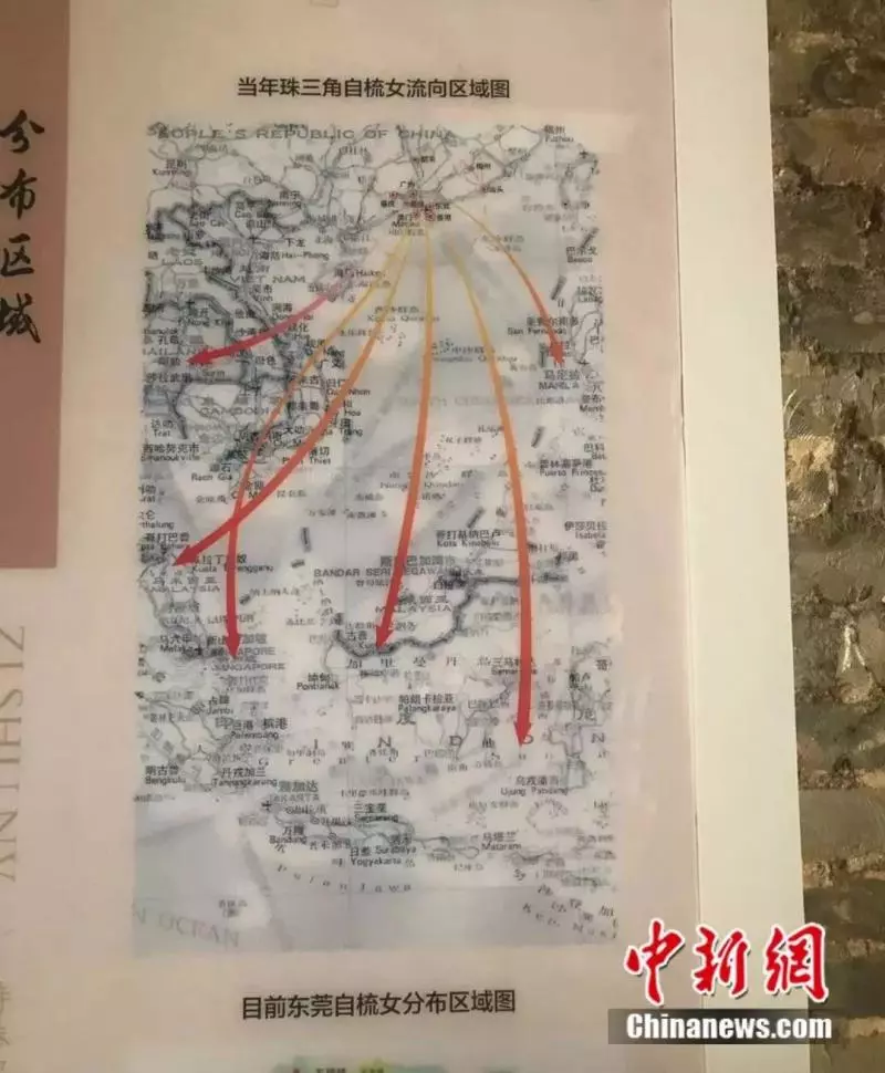 不婚不嫁、獨身終老……這個神秘群體背後究竟有怎樣的故事?