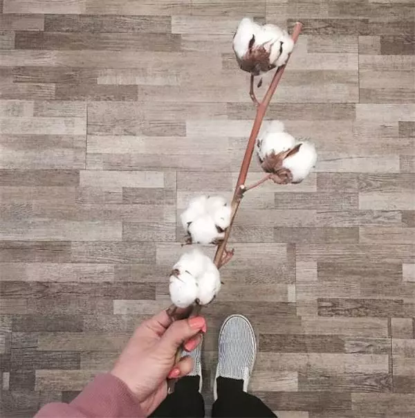 小夫妻「只用同一種姿勢」IG紅翻天!結婚3年甜蜜到大贏其他夫妻