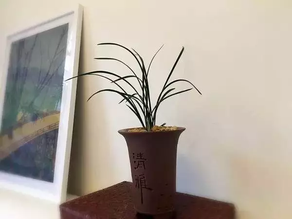 想省錢90後女子「大膽租下7千元鬼屋」 神改造讓網友喊:拜託租給我