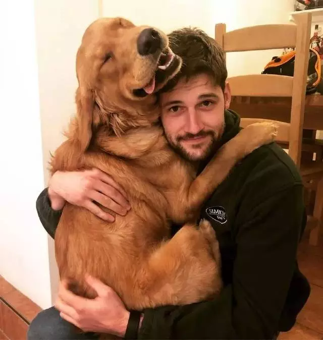 牧羊犬為保護羊群遇襲,小羊溫柔靠近:謝謝你……