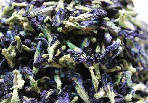 蝶豆花茶:花青素10倍喝,美容養顏、減脂抗發炎、預防糖尿病,清肝明目,功效非常多!!!