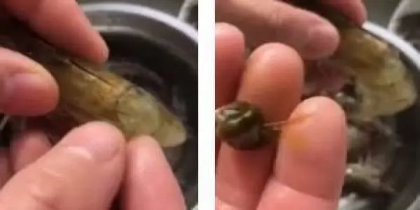 餐廳大廚用「不費力神招」處理「蝦子腸泥」超神速!一個MOVE幾秒內輕鬆搞定!