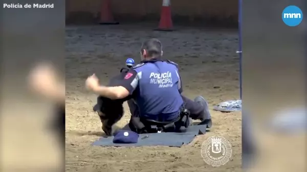 警察當場倒地不起,身旁警犬立刻「檢查呼吸更CPR急救」!英雄式機靈反應,網讚:太聰明了!!