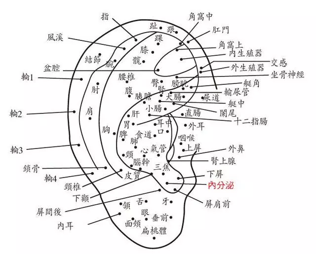 老中醫教你從耳朵了解身體疾病記住哦!