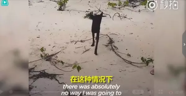 大叔在快淹沒無人荒島遇到「皮包骨黑犬」被惡意遺棄!不顧全船反對丟包,執意救牠回家!如今狗狗烏黑亮麗超美,擁有第二次生命!