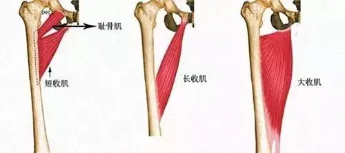 每天原地「青蛙式」50次,20天全身瘦下來,比跑步效果好,腰肩不僵硬,舒服多了