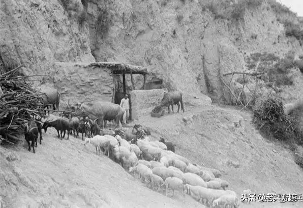 難得一見,1944年紅色延安南泥灣老照片