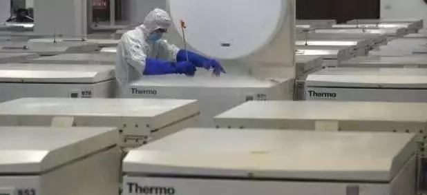 寶寶的臍帶血存儲後能救命?不過一場商業騙局罷了,家長別上當