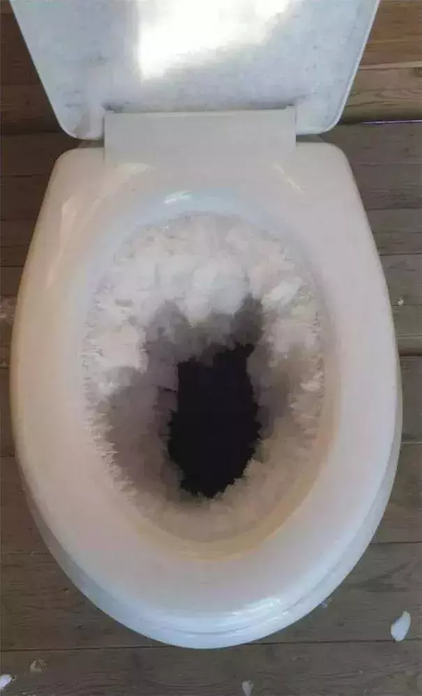 美國冷出新高度,絕了!