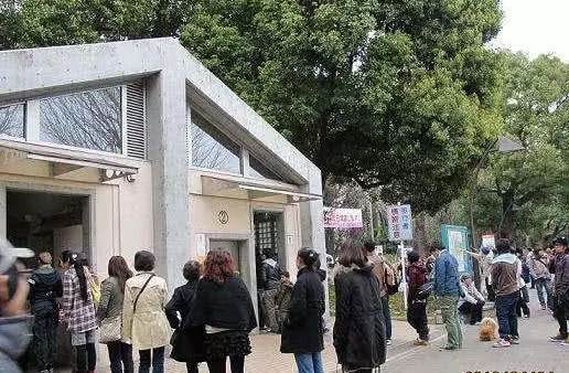 日本女廁中「隱藏按鍵」是幹嘛的?中國遊客:不敢按,會不好意思