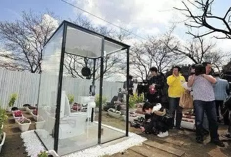 日本女廁中「隱藏按鍵」是幹嘛的?中國遊客:不敢按,會不好意思
