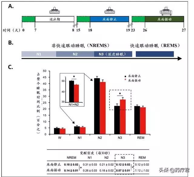科學新發現:睡前只需這樣搖一搖,睡個安穩覺!